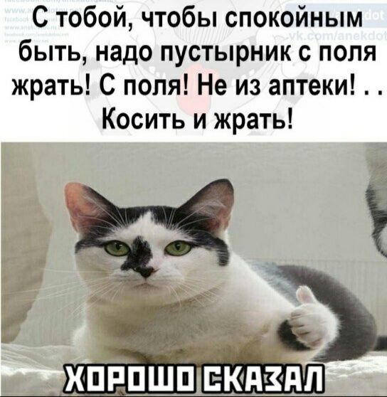 С тобой чтобы спокойным быть надо пустырник с поля жрать С поля Не из аптеки Косить и жрать