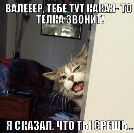 ВдПЕЕЕР ТЕБЕ ПП НдНдН ЁШ ТЕЛНЪЪЗВПНИТ Н ВНЦЗДПЁЁП ТЫ