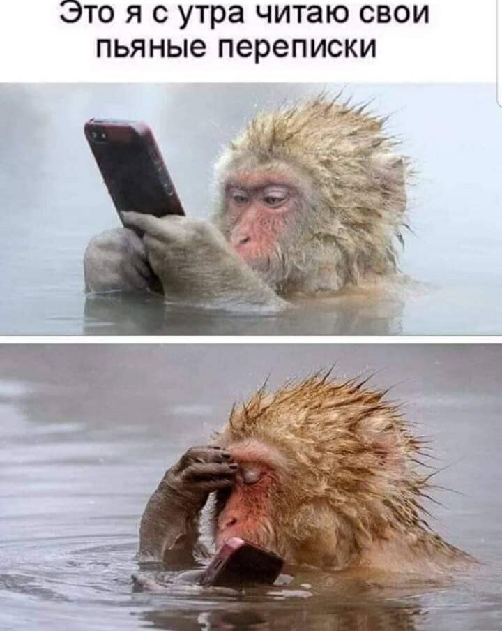 Это я с утра читаю свои пьяные переписки