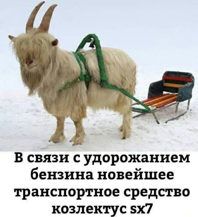 В связи с удорожанием бензина новейшее транспортное средство козлектус 5х7