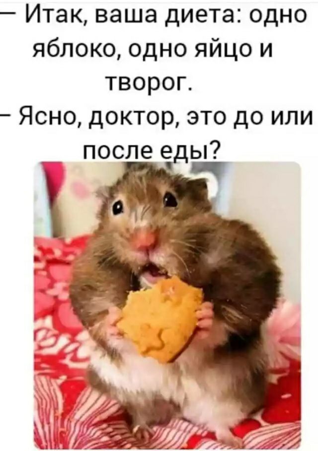 Итак ваша диета одно яблоко одно яйцо и творог Ясно доктор это до или
