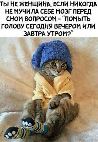 ТЫ НЕ ЖЕНЩИНА ЕСЛИ НИКОГДА НЕ НУЧИЛА СЕБЕ МОЗГ ПЕРЕД СНОМ ВОПРОСОН ПОНЫТЬ Г ОПОВУ СЕГОДНЯ ВЕЧЕРОМ ИЛИ ЗАВТРА УТРОН
