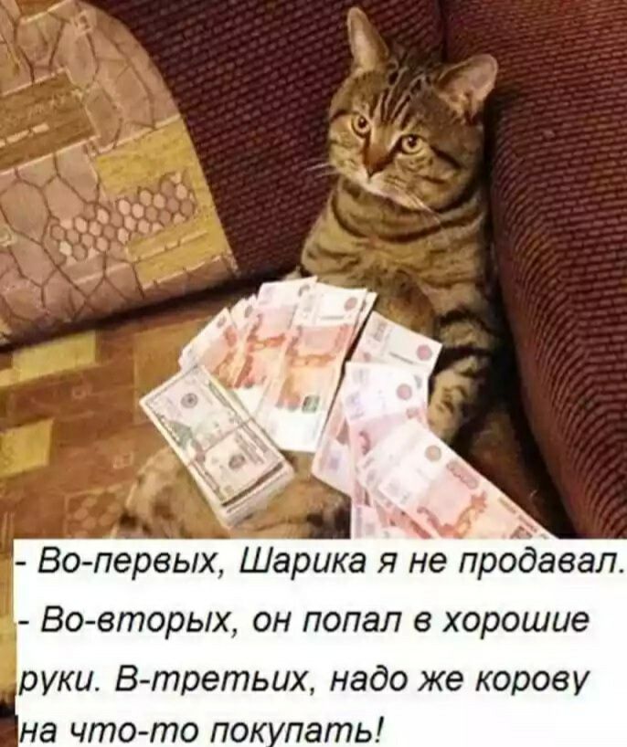 Во первых Шарика я не продавал Вовторых он попал в хорошие руки В третьих надо же корову