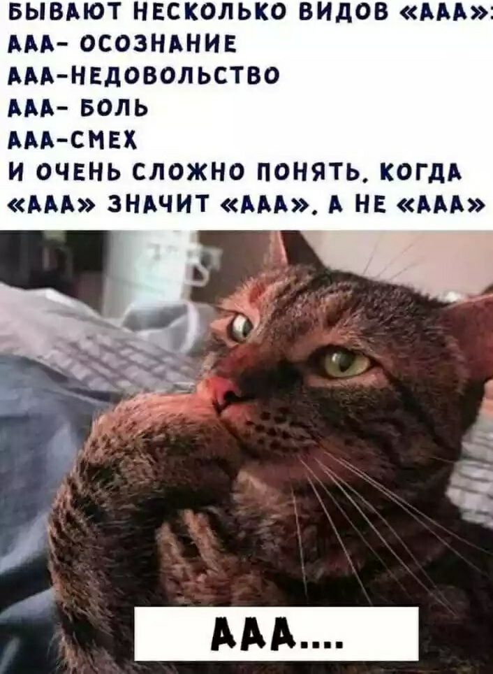 БЫВАЮТ НЕСКОЛЬКО ВИДОВ ААА ААА ОСОЗНАНИЕ АААНЕДОВОЛЬСТВО ААА БОЛЬ ААА СМЕХ И ОЧЕНЬ СЛОЖНО ПОНЯТЬ КОГДА ААА ЗНАЧИТ ААА А НЕ ААА