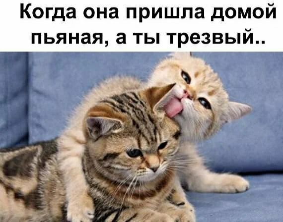 Когда она пришла домой пьяная а ты трезвый