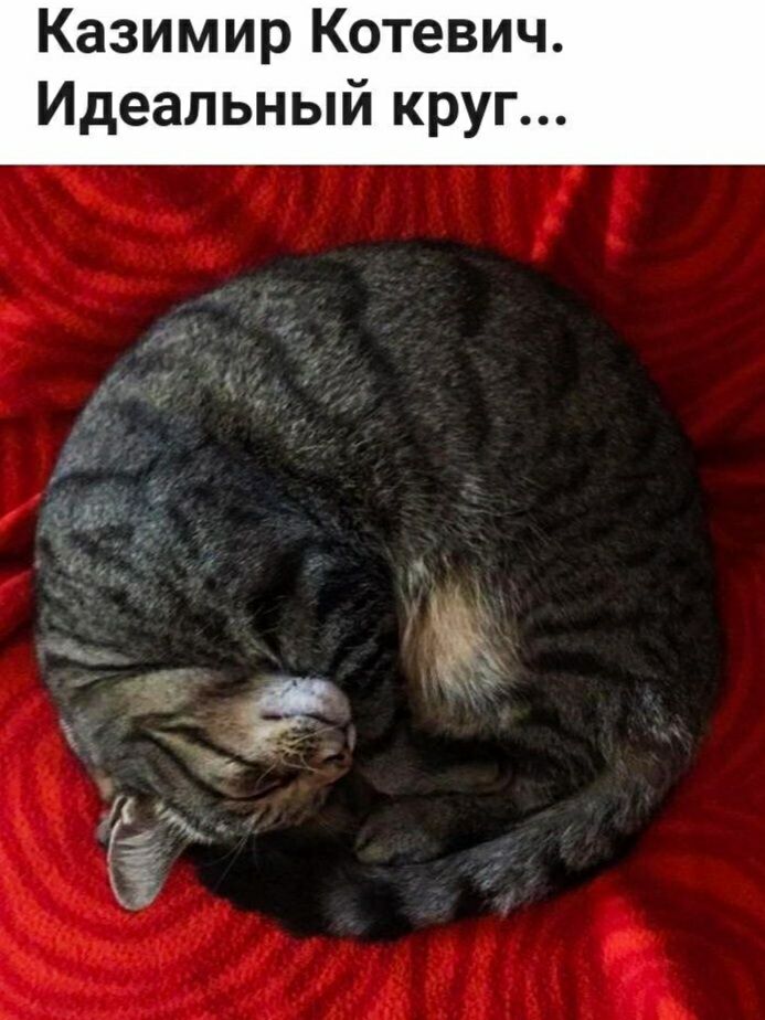 Казимир Котевич Идеальный круг