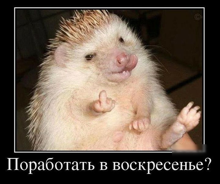 Поработать в воскресенье