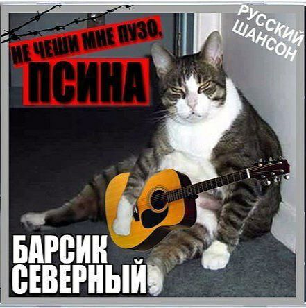 БАН Ё ЁЕВЕРНЫЙГ