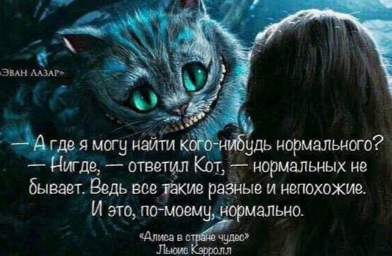 Эмн миг Г я могу найти нуль нормального игде ответил кот нормальных не бывает Ведь все тэкие разрыв и непохожие И это помоему нормально Алшьа вц чум