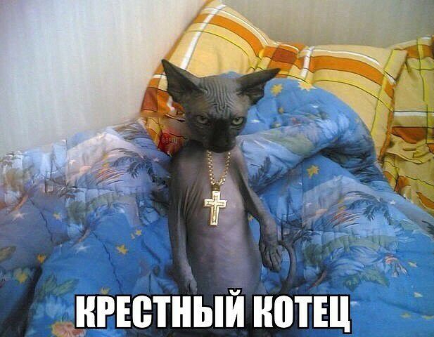 7 уйъж игютныи нотш