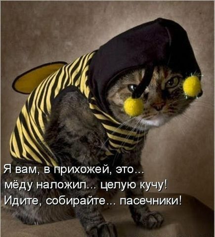 Я вам ачрихржей это Унапожип целую г собиріайте пасечники