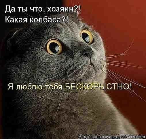 Да ты что хозяи Какая Кр