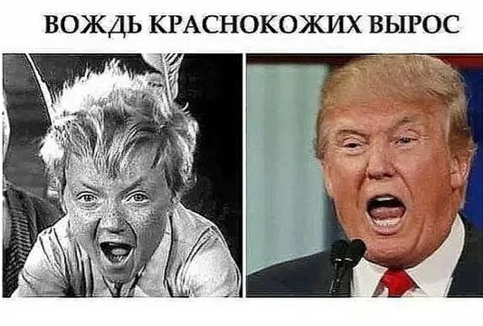 ВОЖДЬ КРАСНОКОЖИХ ВЫРОС 1