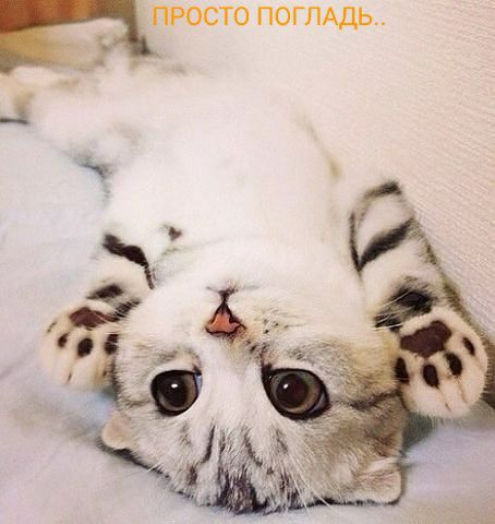 просто поглшь