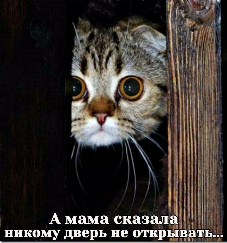 А мама сказащ 135 никому дверь не открді Е
