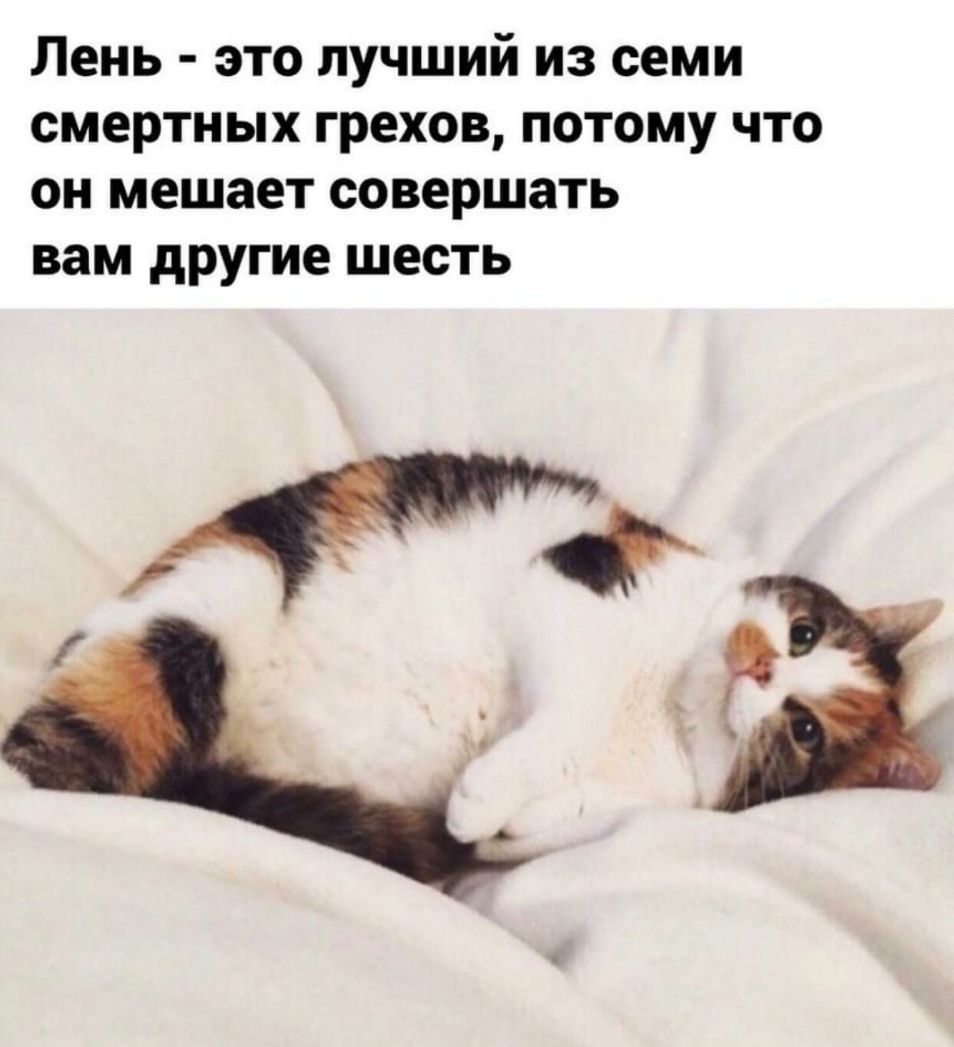 Лень это лучший из семи смертных грехов потому что он мешает совершать вам другие шесть