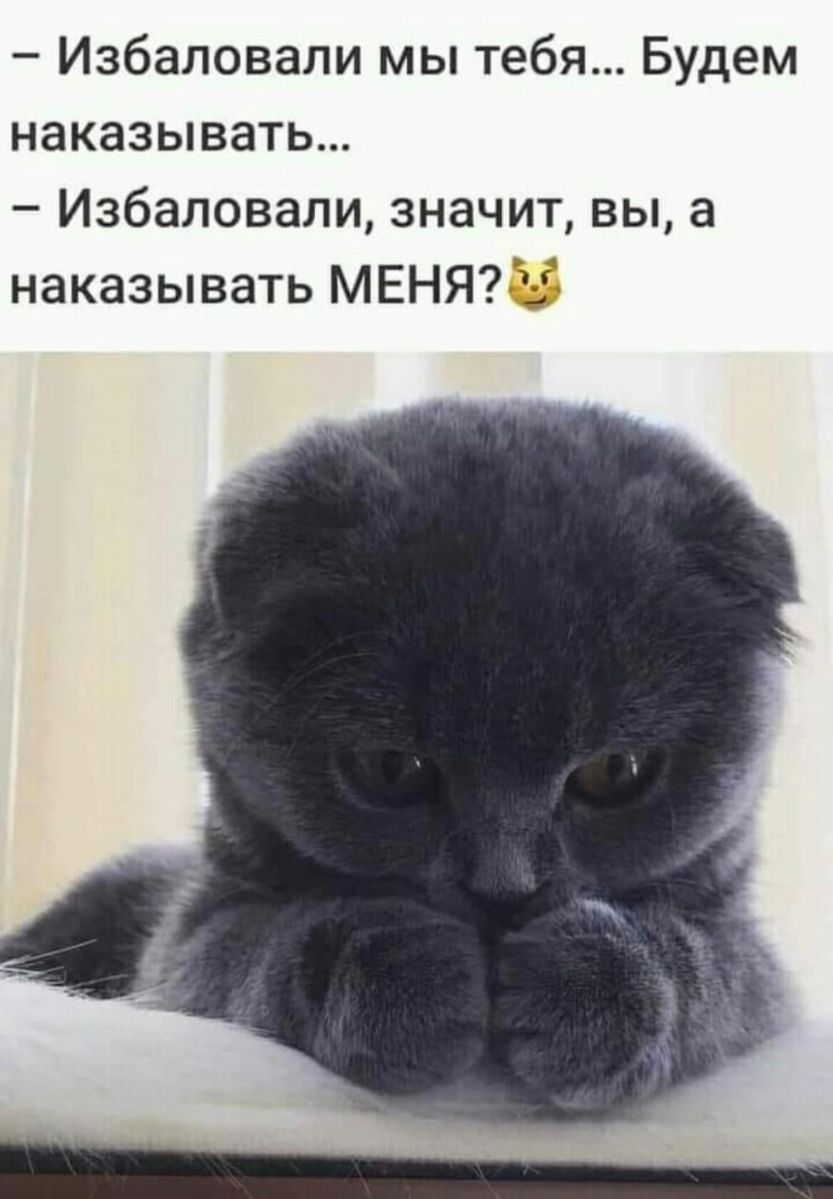 Избаловали мы тебя Будем наказывать Избаловали значит вы а наказывать МЕНЯ