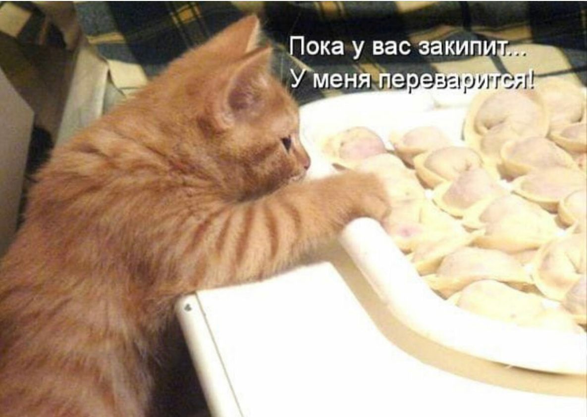Пока у вас закип Умен