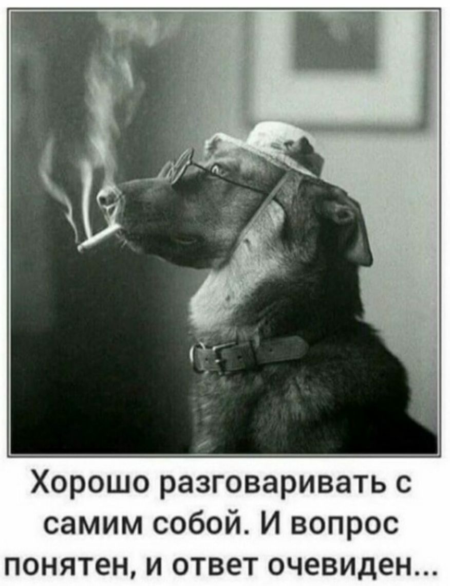 Хорошо разговаривать с самим собой И вопрос понятен и ответ очевиден
