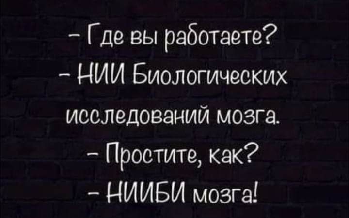 Где вы работаете НИИ Биологических исследований мозга Простите как НИИБИ мозга