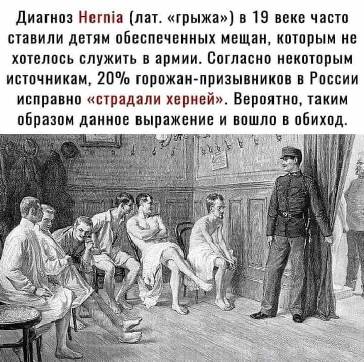 Диагноз Негпіа лат грыжа в 19 веке часто ставили детям обеспеченных мещан которым не хотелось служить в армии Согласно некоторым источникам 20 горожанпризывников в России исправно страдали херней Вероятно таким образом данное выражение и вошло в обиход хдд