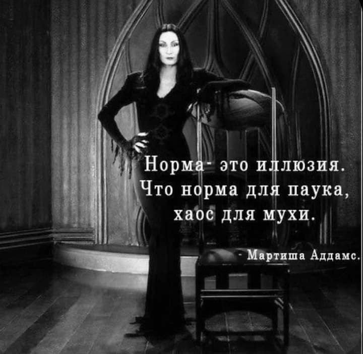 хаоб для мухи 7 Югции Аддцнс
