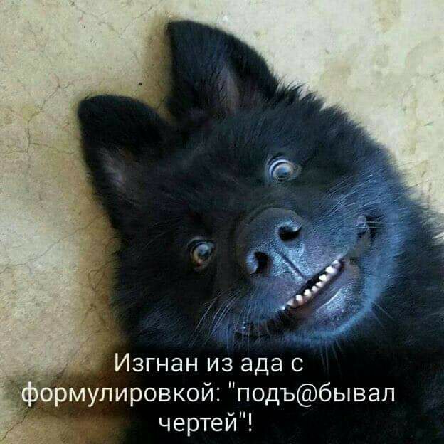 Изгнан из ада с ормулировкой подъбывал чертей