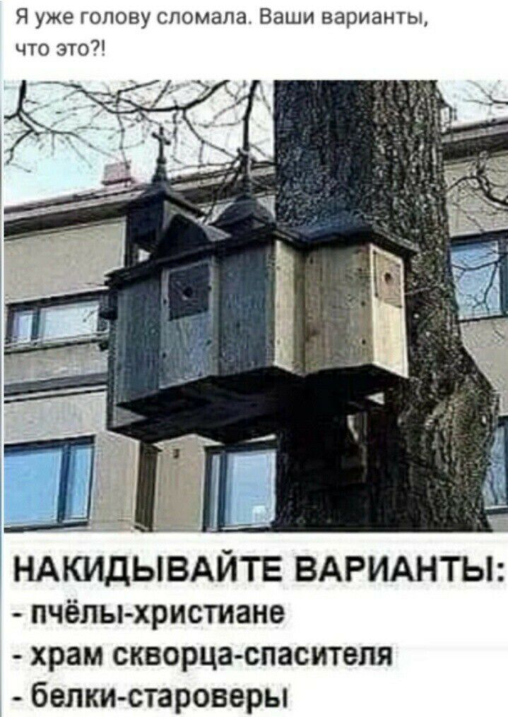 Я уже голову сломала Ваши варианты что это Ш НАКИДЫВАЙТЕ ВАРИАНТЫ пчёлы христиане храм скворца спаситепя белки староверы