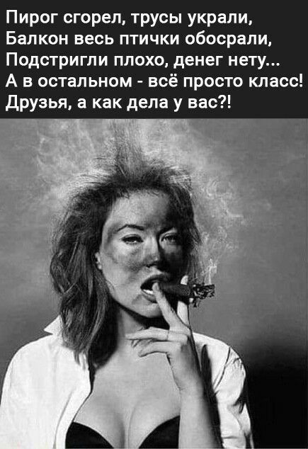 Пирог сгорел трусы украли Балкон весь птички обосрапи Подстригпи плохо денег нету А в остальном всё просто класс друзья а как дела у вас