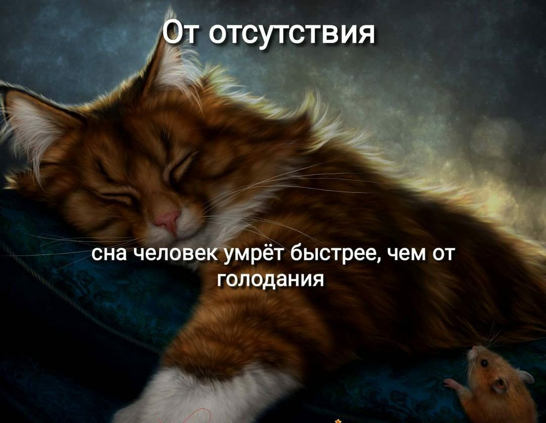 77 7 77 7777 сна чел Ёрет быстреечем от