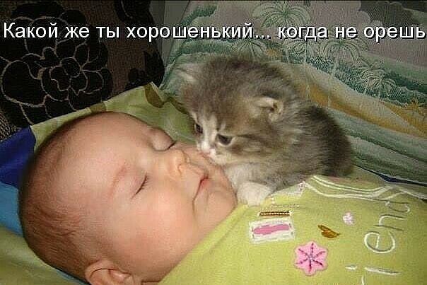 Какой же ты хоро