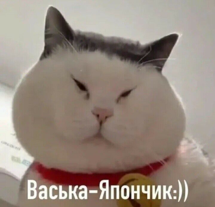 Васька Япончик