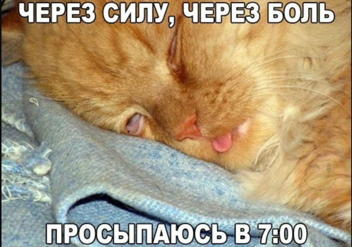 _ ЧЕРЕЗ чвгвз вольт _ да гв _ 8700