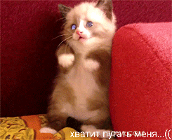 _ хв Бивни