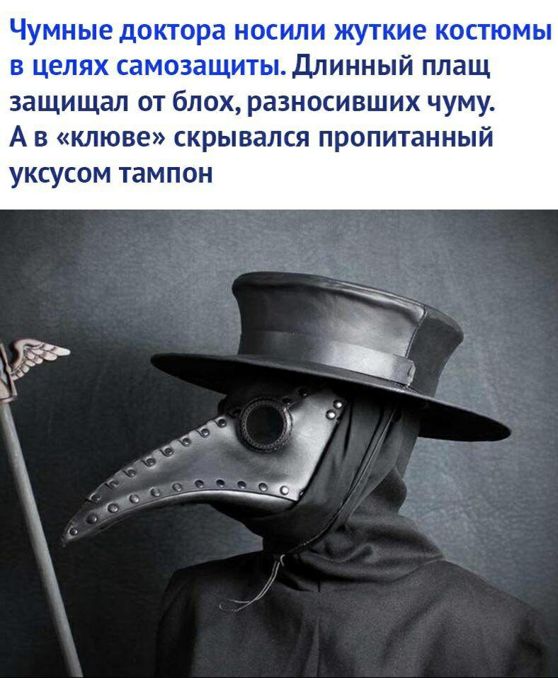 Чумные доктора НОСИЛИ ЖУТКИЕ КОСТЮМЫ В ЦЕЛЯХ самозащиты ДЛИННЫЙ плащ защищал ОТ бЛОХ разносивших ЧУМУ А в клюве скрывался пропитанный уксусом тампон д э _ к д _ всЁ