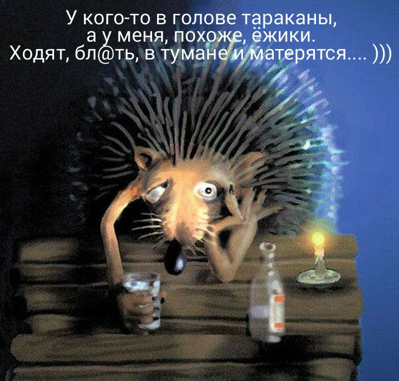 У кого то в голове тараканы а меня пох жики Ходят бл ть в тума варятся ц
