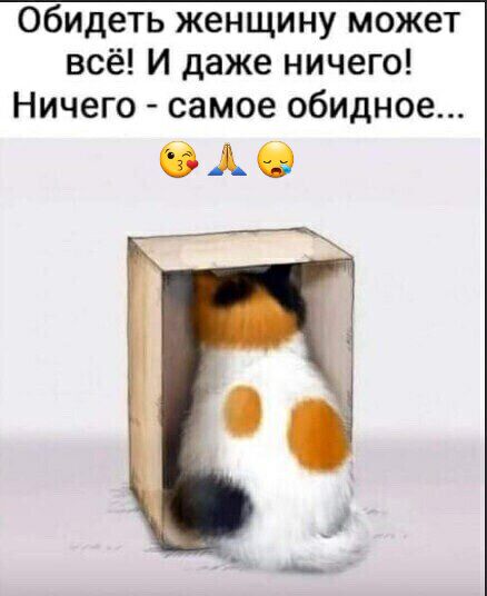 Обидеть женщину может всё И даже ничего Ничего самое обидное ОАЭ