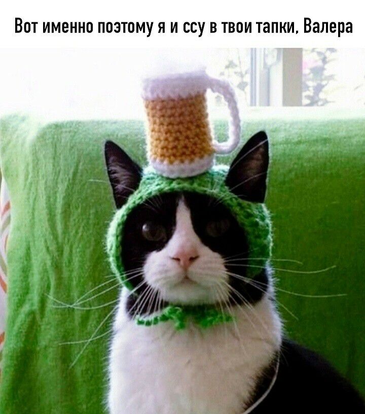 ВОТ ИМЕННО ПОЭТОМУ Я И ССУ В ТВОИ тапки Валера