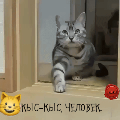 1 кыскыс ЧЕЛОВЕК