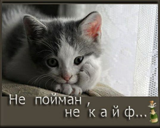 Не пбИМан не кайф