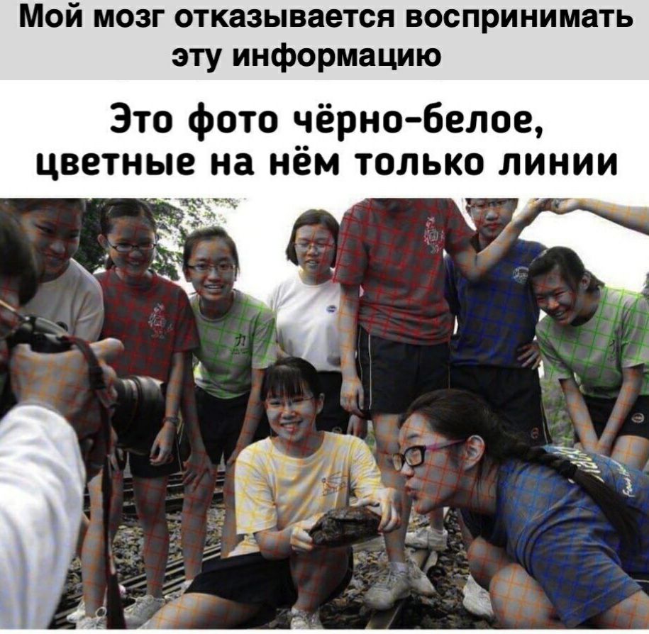 Мой мозг отказывается воспринимать эту информацию Это фото чёрно белое