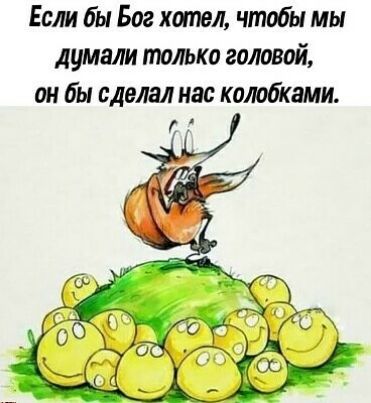 Если бы Бог хотел чтобы мы думали только головой он бы сделал нас колобками