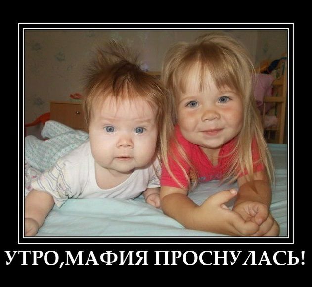 УТРОМАФИЯ ПРОСНУЛАСЬ