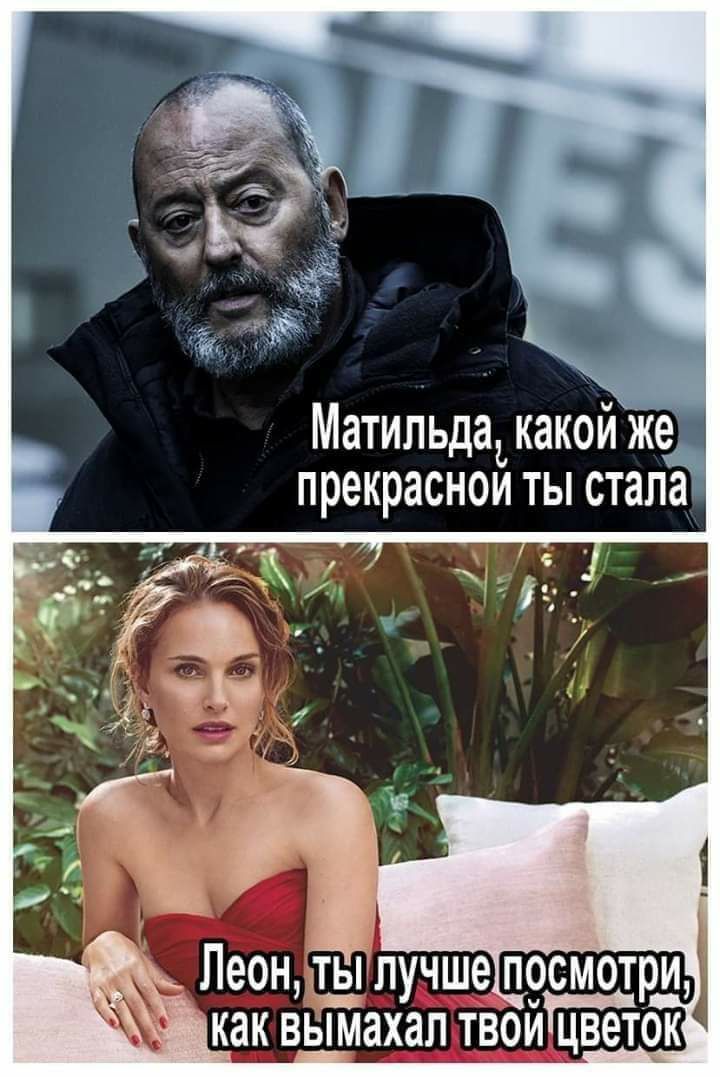 Леон ты _лучше прсмотри как вымахал твойцветок