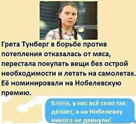 Грета Тунберг выбордьбе против потепления ОТКЕЗЗЛЗСЬ ОТ мяса перестала покупать вещи без острой необходимости И летать на самолетах Её номинировали на Нобелевскую премию