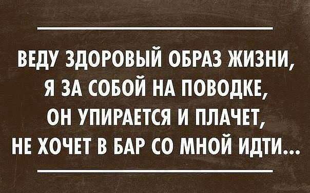ВЕДУ ЗДОРОВЫЙ ОБРАЗ ЖИЗНИ Я ЗА СОБОЙ НА ПОВОДКЕ ОН УПИРАЕТСЯ И ПЛАЧЕТ НЕ ХОЧЕТ В БАР СО МНОЙ ИдТИ
