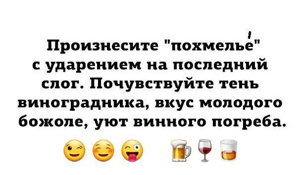 Произиесите похмелье с ударением на последний слог Почувствуйте тень виноградника вкус молодого божоле уют винного погреба 060 19