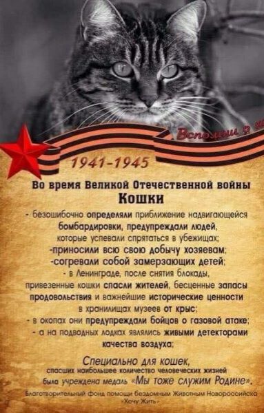 М 7941 1945 вп принц випикпи отвчастпинвпп пин КОШКИ ветр определим прибдижепиг пдпиштшеиси бомбардиром линии а шооые м спртшьсч убежища _прииосим шо слов добычу хозяевам игре собой замерзапщих шев ним ца п е ммм ю спасли теий мышце запасы припомнит воиеишие моими шим тшщ музеев и Крис в мм пни предупрежден бойцоп о шве пп так п м мм щ хмм Ащепорпии шест шика А Специально для кошек и и реш июль Мы