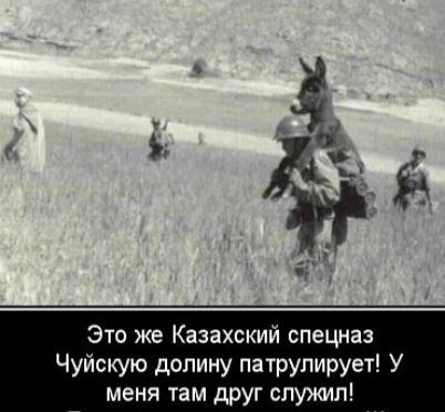 Эти же Казахский спецназ Чуйскую долину патрулирует У меня там друг служил
