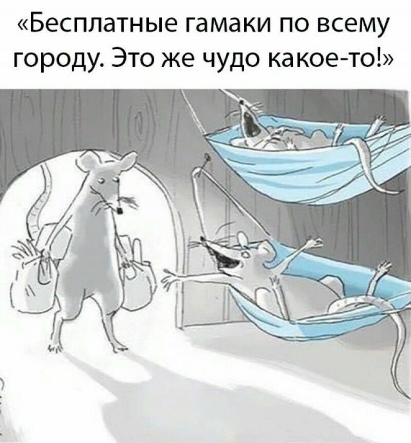 Бесплатные гамаки по всему городу Это же чудо ка кое то